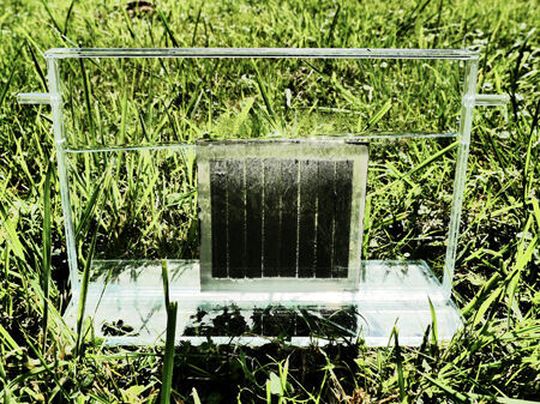 Solarmodule, die Wasserstoff statt Strom erzeugen, funktionieren ähnlich wie ein künstliches Blatt. Solarmodule, die Wasserstoff statt Strom erzeugen, funktionieren ähnlich wie ein künstliches Blatt.