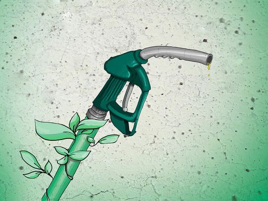 Sind gefragt: regenerative Alternativen zu fossilen Kraftstoffen. Sind gefragt: regenerative Alternativen zu fossilen Kraftstoffen.