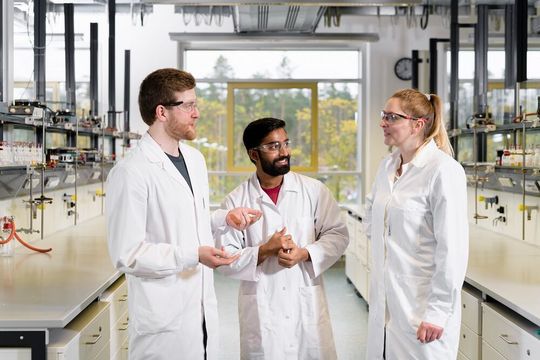Um die Expertise der FAU in Sachen Wasserstoff-Technologie weiter auszubauen, sollen bis Ende 2021 insgesamt sieben neue Professurenberufen werden. Um die Expertise der FAU in Sachen Wasserstoff-Technologie weiter auszubauen, sollen bis Ende 2021 insgesamt sieben neue Professurenberufen werden.