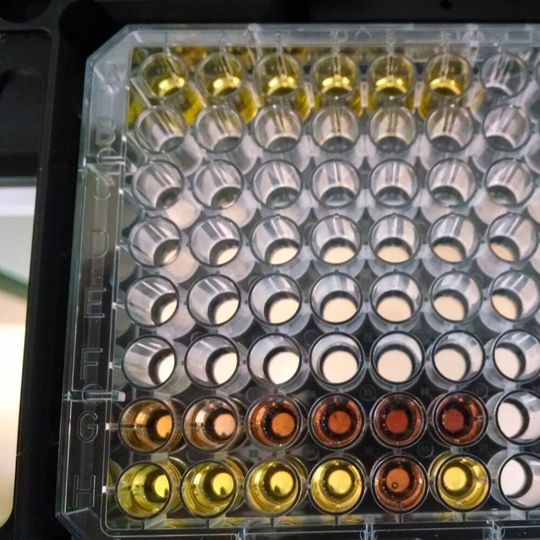 Labforward joins forces with Tecan to improve control of microplate readers. Labforward joins forces with Tecan to improve control of microplate readers.