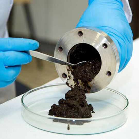 Im Rahmen des Projekts „Green Carbon“ sollen Hightech-Materialien aus Pflanzenabfällen hergestellt werden. Im Rahmen des Projekts „Green Carbon“ sollen Hightech-Materialien aus Pflanzenabfällen hergestellt werden.