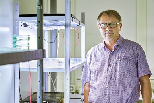 Tilman Lamparter ist Professor für Allgemeine Botanik am KIT.