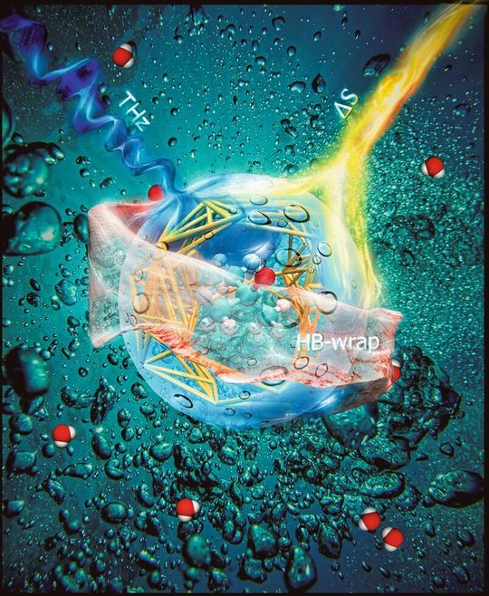 Wasserstoffbrückenbindungsnetzwerk um den Alkohol: Die innere und äußere Hydratationsschicht mit unterschiedlichen Eigenschaften wurden als „HB-wrap“ und „HB-hydration2bulk“ bezeichnet. Wasserstoffbrückenbindungsnetzwerk um den Alkohol: Die innere und äußere Hydratationsschicht mit unterschiedlichen Eigenschaften wurden als „HB-wrap“ und „HB-hydration2bulk“ bezeichnet.