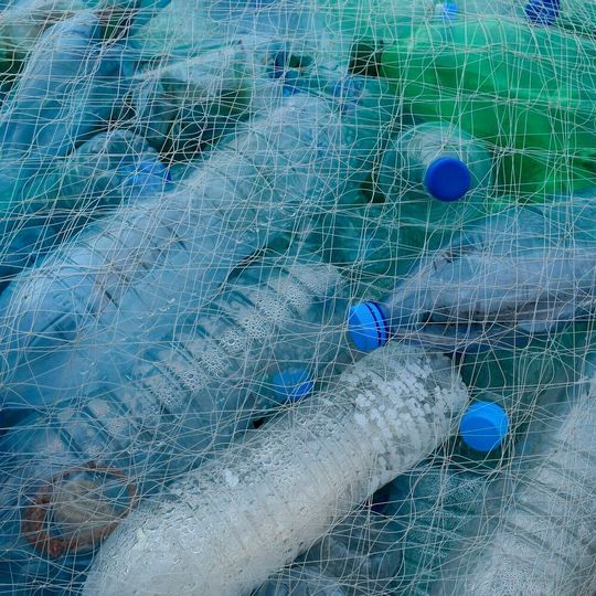 Biobasierte Kunststofflösungen sollen praktikable Alternative zu Einwegkunststoffen werden, um Kunststoffmüll und Verunreinigungen an Land und in den Meeren zu reduzieren. Biobasierte Kunststofflösungen sollen praktikable Alternative zu Einwegkunststoffen werden, um Kunststoffmüll und Verunreinigungen an Land und in den Meeren zu reduzieren.