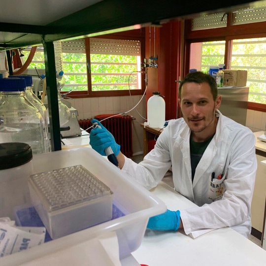 Mattia Bramini, Marie Curie-Athenea3i researcher based at the UGR, is one of the authors of this work. Mattia Bramini, Marie Curie-Athenea3i researcher based at the UGR, is one of the authors of this work.