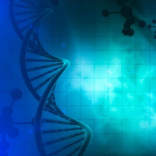 Rigenerand commences 3D bioreactor development for cGMP extracellular vesicle exosomes (EV) production Rigenerand commences 3D bioreactor development for cGMP extracellular vesicle exosomes (EV) production