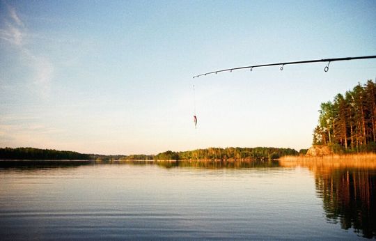 Wie der Angler im See, fischen Wissenschaftler in Molekülmischungen nach bestimmten Proteinen: mithilfe von speziellen Nano-Blättern (Symbolbild). Wie der Angler im See, fischen Wissenschaftler in Molekülmischungen nach bestimmten Proteinen: mithilfe von speziellen Nano-Blättern (Symbolbild).