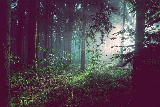Climate change is having a huge impact on the world we live in and the calls to tackle it are growing louder every day. Climate change is having a huge impact on the world we live in and the calls to tackle it are growing louder every day.