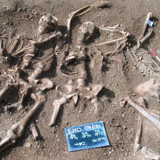 The researchers worked for example with samples from an excavation in Oxford: A mass grave where more than 30 skeletons were discovered. One of the skeletons had been infected with smallpox. The researchers worked for example with samples from an excavation in Oxford: A mass grave where more than 30 skeletons were discovered. One of the skeletons had been infected with smallpox.