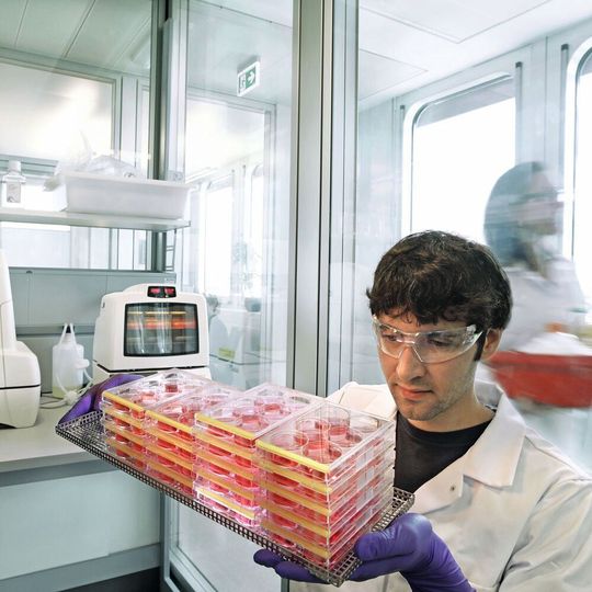 Mit der Übernahme des britischen Biotech-Unternehmens Kandy Therapeutics will Bayer sein Entwicklungsportfolio im Bereich Frauengesundheit ausbauen. Mit der Übernahme des britischen Biotech-Unternehmens Kandy Therapeutics will Bayer sein Entwicklungsportfolio im Bereich Frauengesundheit ausbauen.