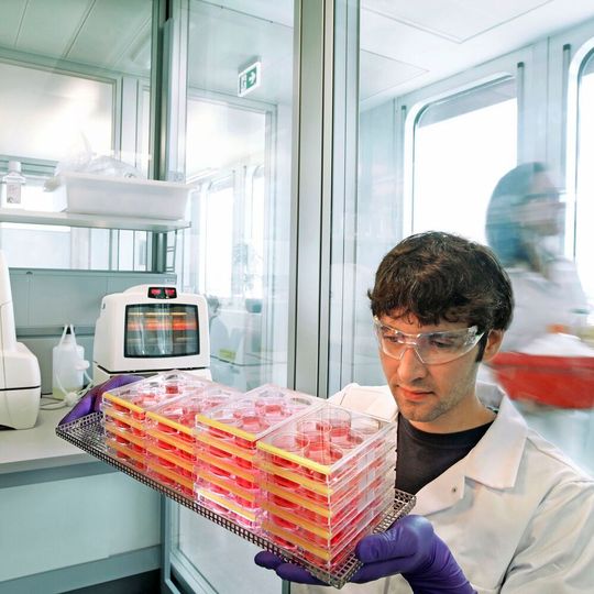 Mit der Übernahme des britischen Biotech-Unternehmens Kandy Therapeutics will Bayer sein Entwicklungsportfolio im Bereich Frauengesundheit ausbauen. Mit der Übernahme des britischen Biotech-Unternehmens Kandy Therapeutics will Bayer sein Entwicklungsportfolio im Bereich Frauengesundheit ausbauen.