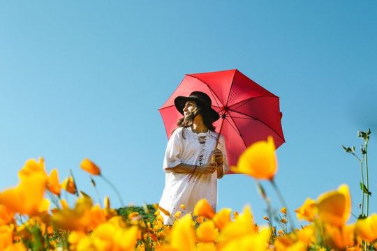 In Krisenzeiten müssen Unternehmen auf eine All-Wetter-Marketing-Strategie setzen. In Krisenzeiten müssen Unternehmen auf eine All-Wetter-Marketing-Strategie setzen.
