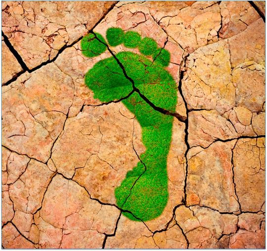 Von wegen „Greenwashing“! Lieber einen echten grünen Fußabruck hinterlassen, als einen Auftritt mit zu viel CO2-Emissionen haben. Das SKZ hilft bei der Erstellung genau Ihrer CO2-Bilanz... Von wegen „Greenwashing“! Lieber einen echten grünen Fußabruck hinterlassen, als einen Auftritt mit zu viel CO2-Emissionen haben. Das SKZ hilft bei der Erstellung genau Ihrer CO2-Bilanz...