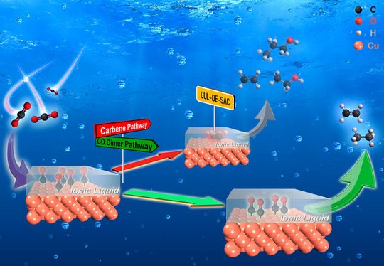 Die ionische Flüssigkeit agiert als “chemische Falle” und unterdrückt selektiv die Bildung von C2+ Produkten, welche über Carbene als Schlüsselintermediat erzeugt werden. Die ionische Flüssigkeit agiert als “chemische Falle” und unterdrückt selektiv die Bildung von C2+ Produkten, welche über Carbene als Schlüsselintermediat erzeugt werden.
