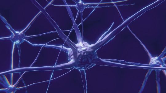 Aktivität in bestimmten Neuronen kann auch unsere Gene beeinflussen, über den Prozess der DNA-Methylierung (Symbolbild) Aktivität in bestimmten Neuronen kann auch unsere Gene beeinflussen, über den Prozess der DNA-Methylierung (Symbolbild)