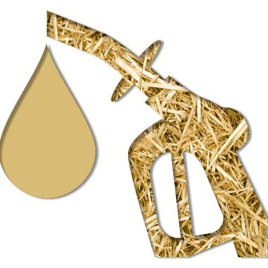 Under China’s nationwide blending mandate proposal, all gasoline used for motor vehicles will need to contain bioethanol as an additive. Under China’s nationwide blending mandate proposal, all gasoline used for motor vehicles will need to contain bioethanol as an additive.