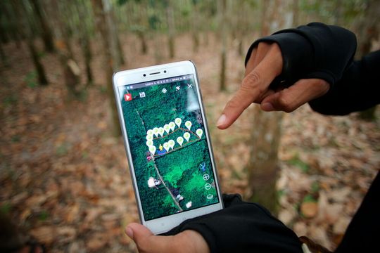 Durch ein digitales Rückverfolgungssystem kann Continental die gesamte Lieferkette für dessen verwendeten Kautschuk dokumentieren. Durch ein digitales Rückverfolgungssystem kann Continental die gesamte Lieferkette für dessen verwendeten Kautschuk dokumentieren.