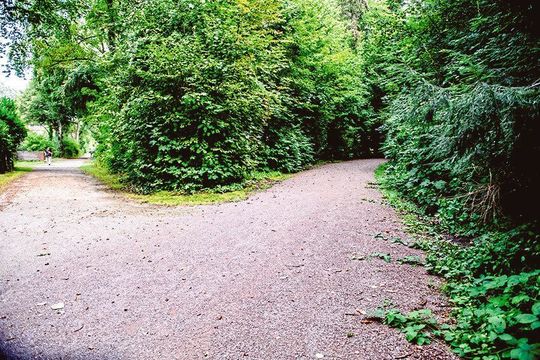 Wolang soll es gehen? Wenn äußere Hinweisreize fehlen, kann das Navigieren schwierig werden. Wolang soll es gehen? Wenn äußere Hinweisreize fehlen, kann das Navigieren schwierig werden.