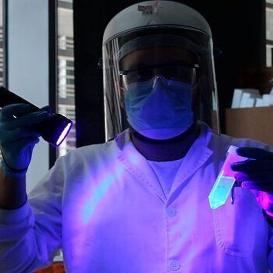 The conjugated fluorophore is efficiently excited by widely available UV radiation sources. The conjugated fluorophore is efficiently excited by widely available UV radiation sources.