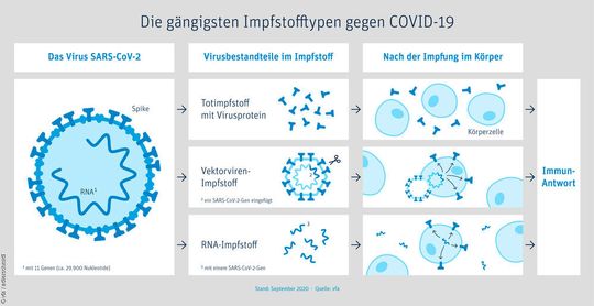 Die gängisten Impfstofftypen gegen Covid-19: Totimpfstoff mit Virusprotein, Lebendimpfstoff mit Vektorviren und RNA-Impfstoff.