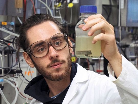 Benjamin Monneron zeigt eine Leiterplatte aus einem Elektroschrott-Teil in der wässrigen Lauge. Benjamin Monneron zeigt eine Leiterplatte aus einem Elektroschrott-Teil in der wässrigen Lauge.