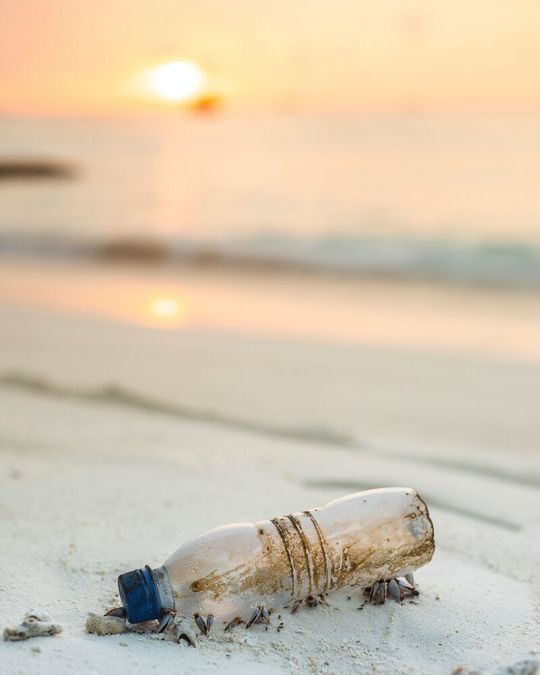 Protection of the environment is one of the largest challenges the world faces today. Protection of the environment is one of the largest challenges the world faces today.