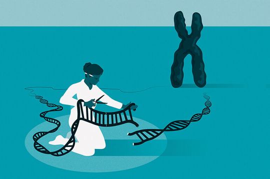 Emmanuelle Charpentier and Jennifer A. Doudna have been awared the Nobel Prize in Chemistry for their groundbreaking work in gene editing. Emmanuelle Charpentier and Jennifer A. Doudna have been awared the Nobel Prize in Chemistry for their groundbreaking work in gene editing.