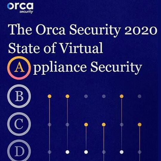 Basierend auf 17 bekannten Schwachstellen hat Orca Security über 400.000 Anfälligkeiten in Virtual Appliances identifiziert. Basierend auf 17 bekannten Schwachstellen hat Orca Security über 400.000 Anfälligkeiten in Virtual Appliances identifiziert.