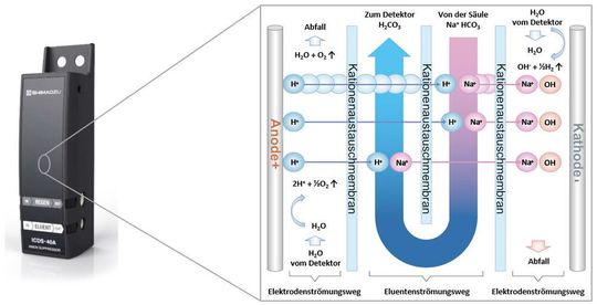 Funktionsprinzip des Anionensuppressors Funktionsprinzip des Anionensuppressors