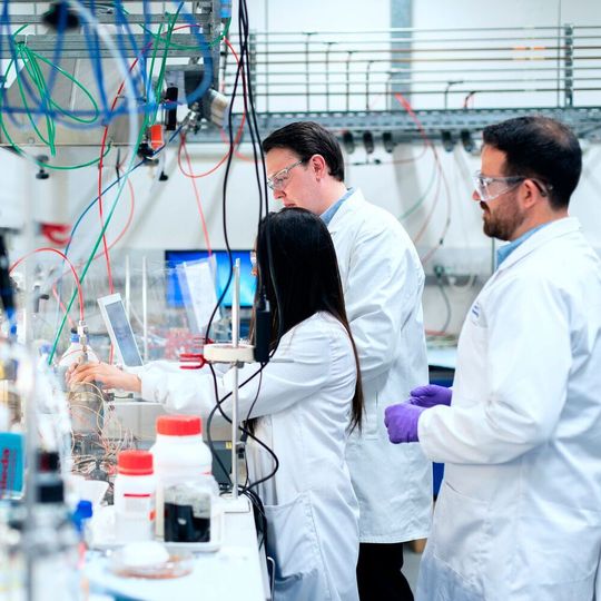 Ein neuartiger Palladium-Katalysator kann dazu beitragen, kostspielige „Umwege“ bei organischen Synthesen zu vermeiden. (Symbolbild) Ein neuartiger Palladium-Katalysator kann dazu beitragen, kostspielige „Umwege“ bei organischen Synthesen zu vermeiden. (Symbolbild)