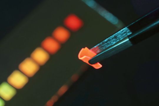 Der neu entwickelte Solarkollektor bei Bestrahlung mit blauem LED-Licht: Das Polymer-Material ist so flexibel, dass es sich mit einer Pinzette biegen lässt. Der neu entwickelte Solarkollektor bei Bestrahlung mit blauem LED-Licht: Das Polymer-Material ist so flexibel, dass es sich mit einer Pinzette biegen lässt.