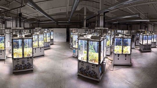 Ecotron-Einheiten im Forschungszentrum des iDiv. Ecotron-Einheiten im Forschungszentrum des iDiv.
