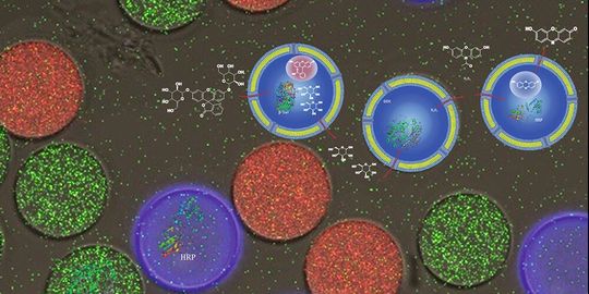 Mithilfe einer neuen Methode stellten die Forschenden drei unterschiedliche Vesikeltypen her, die zwar eine einheitliche Grösse haben, aber eine unterschiedliche enzymatische Fracht tragen. Mithilfe einer neuen Methode stellten die Forschenden drei unterschiedliche Vesikeltypen her, die zwar eine einheitliche Grösse haben, aber eine unterschiedliche enzymatische Fracht tragen.