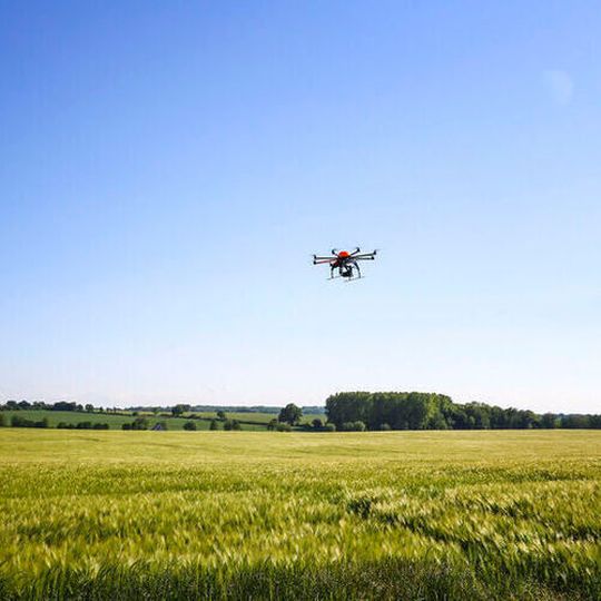 The automated image recognition technology can, e.g. supported by drones, determine the species and quantity of plants, pests and diseases in greenhouse and field trials. The automated image recognition technology can, e.g. supported by drones, determine the species and quantity of plants, pests and diseases in greenhouse and field trials.