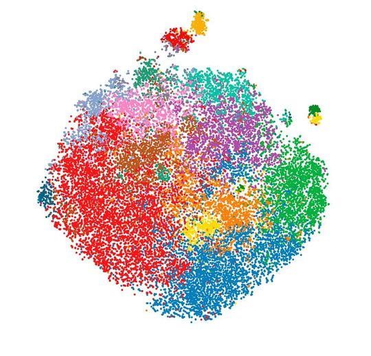 This graph visualises regulatory T cell in the blood samples analysed as a single dot, with the different colours indicating the different types of regulatory T cells. This graph visualises regulatory T cell in the blood samples analysed as a single dot, with the different colours indicating the different types of regulatory T cells.