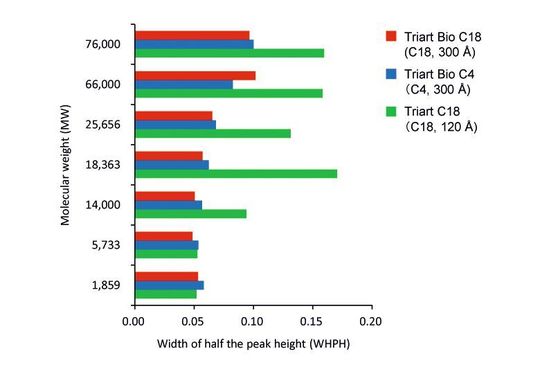 Abb.2: Effekt der Porengröße auf die Trennung von Peptiden und Proteinen. Die Säulen mit 300 Å Poren weisen auch bei großen Analyten noch eine vergleichsweise schmale Halbwertsbreite der Peaks auf.<br>γ-Endorphin (MW 1859), Insulin (MW 5733), Lysozyme (MW 14.000), β-Lactoglobulin (MW 18.363), α-Chymotrypsinogen A (MW 25.656), BSA (MW 66,000), Conalbumin (MW 76.000)