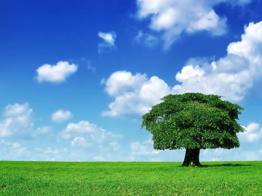Mythos oder Wahrheit: ComConsult zeigt was wirklich dran ist am Thema „Green VoIP“. Quelle: Alberto Brandi - Fotolia.com Mythos oder Wahrheit: ComConsult zeigt was wirklich dran ist am Thema „Green VoIP“. Quelle: Alberto Brandi - Fotolia.com