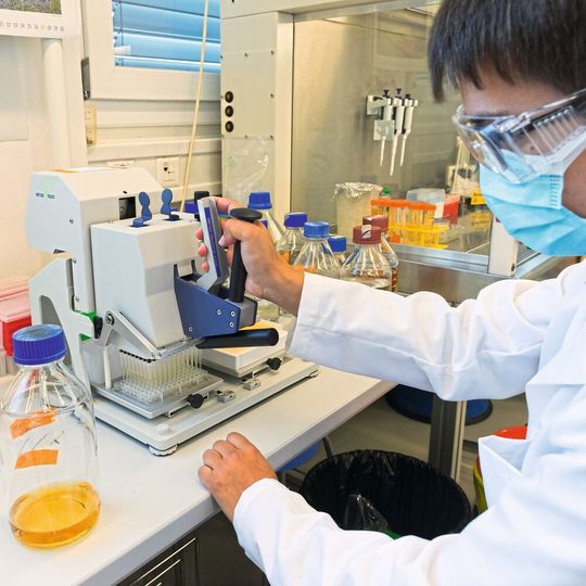 Im Labor wurden bereits mehrere Hundert Enzymvarianten hergestellt, um ausgewählte Eigenschaften zu verbessern. Im Labor wurden bereits mehrere Hundert Enzymvarianten hergestellt, um ausgewählte Eigenschaften zu verbessern.