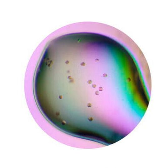 Protein crystals of CntA enzyme. Protein crystals of CntA enzyme.