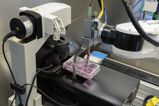 Die Zellen werden unter dem Mikroskop aufgenommen. Das Softwaretool „AIxCell“ klassifiziert die Zellen und sucht einen passendenden Deep-Learning-Algorithmus aus. Die Zellen werden unter dem Mikroskop aufgenommen. Das Softwaretool „AIxCell“ klassifiziert die Zellen und sucht einen passendenden Deep-Learning-Algorithmus aus.