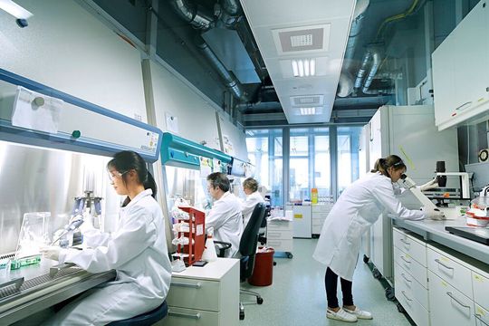 Eine neue Plattform für Zell- und Gentherapie (C& GT) bei Bayer soll bahnbrechende wissenschaftliche Ansätze für innovative Behandlungsoptionen vorantreiben. Eine neue Plattform für Zell- und Gentherapie (C& GT) bei Bayer soll bahnbrechende wissenschaftliche Ansätze für innovative Behandlungsoptionen vorantreiben.