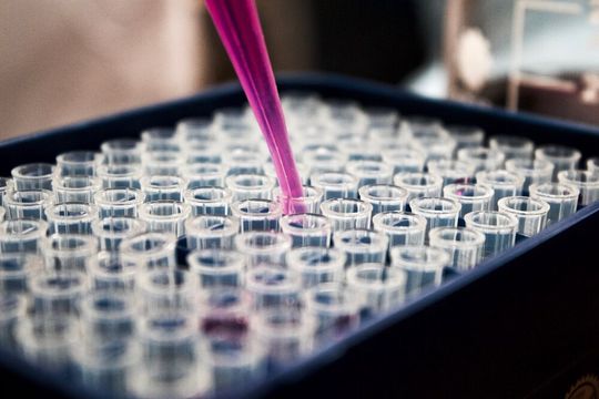 A new administration could mean a drastic shift in the position plastic inhabits. A new administration could mean a drastic shift in the position plastic inhabits.