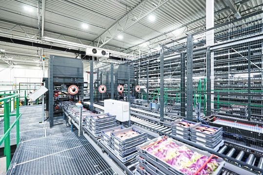 Temperaturgeführte Lager können mehrere Bereiche umfassen, von plus-gradigen Abschnitten bis hin zu Tiefkühlbereichen mit bis zu –28 °C. Temperaturgeführte Lager können mehrere Bereiche umfassen, von plus-gradigen Abschnitten bis hin zu Tiefkühlbereichen mit bis zu –28 °C.