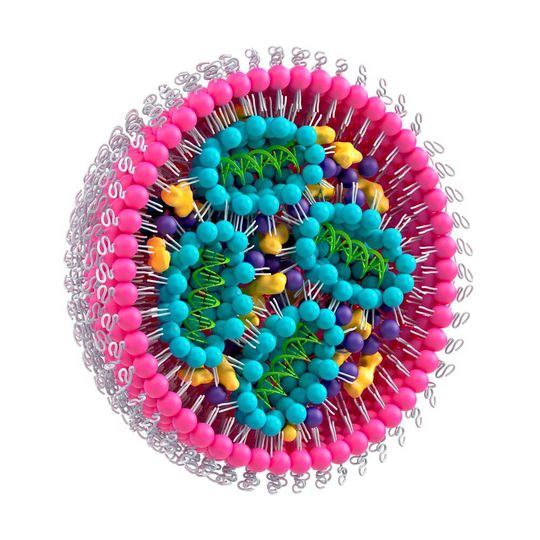 Der Erwerb von Amptec ergänzt die Expertise von Merck in der Lipidherstellung und schafft ein integriertes Angebot, das die gesamte mRNA-Wertschöpfungskette abdeckt. Der Erwerb von Amptec ergänzt die Expertise von Merck in der Lipidherstellung und schafft ein integriertes Angebot, das die gesamte mRNA-Wertschöpfungskette abdeckt.