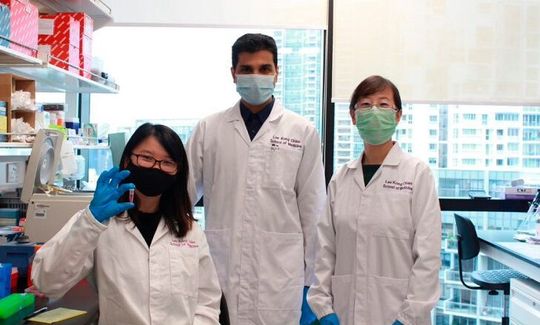 The team of NTU Singapore scientists has developed oral insulin nanoparticles that could one day be an alternative to injections. The team of NTU Singapore scientists has developed oral insulin nanoparticles that could one day be an alternative to injections.