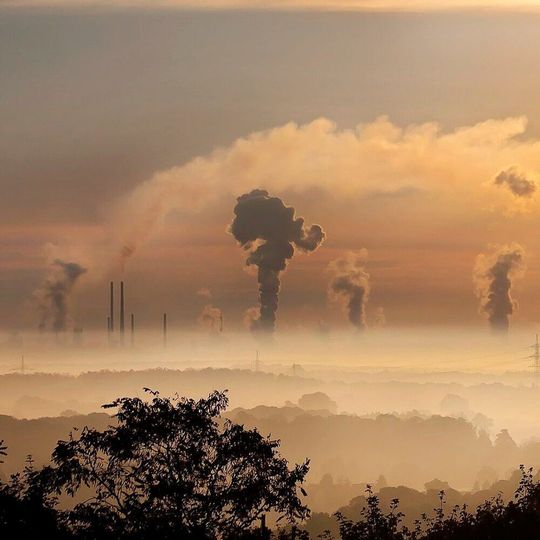 Researchers demonstrated that certain microorganisms are capable of using phenol as sole carbon source for their growth. Researchers demonstrated that certain microorganisms are capable of using phenol as sole carbon source for their growth.