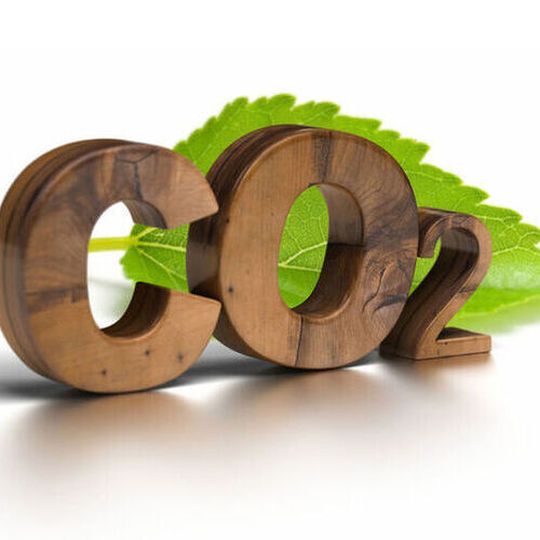 Sumitomo Chemical will establish a Carbon Neutral Strategy Council and a Carbon Neutral Strategy Cross-Functional Team on February 1, 2021. Sumitomo Chemical will establish a Carbon Neutral Strategy Council and a Carbon Neutral Strategy Cross-Functional Team on February 1, 2021.