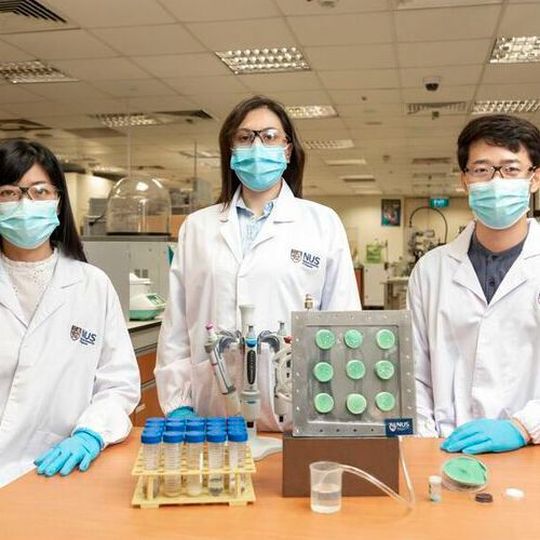 The water-producing aerogel is invented by a team of six researchers led by Professor Ho Ghim Wei (left). Two of them are Dr. Gamze Yilmaz (centre) and Dr. Fan Lu Meng (right). The water-producing aerogel is invented by a team of six researchers led by Professor Ho Ghim Wei (left). Two of them are Dr. Gamze Yilmaz (centre) and Dr. Fan Lu Meng (right).