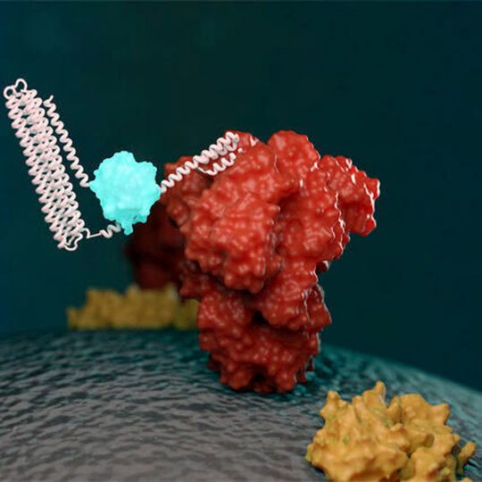 Artists conception of a biosensor detecting a target molecule. Artists conception of a biosensor detecting a target molecule.