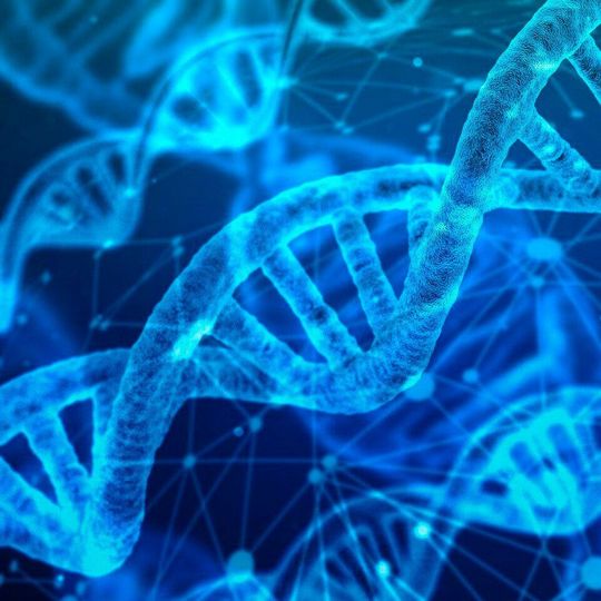 High quality nucleic acids are essential for precise and consistent results in a variety of clinical genomics analyses, in areas such as infectious diseases, oncology, human genetics and personalized medicine. High quality nucleic acids are essential for precise and consistent results in a variety of clinical genomics analyses, in areas such as infectious diseases, oncology, human genetics and personalized medicine.